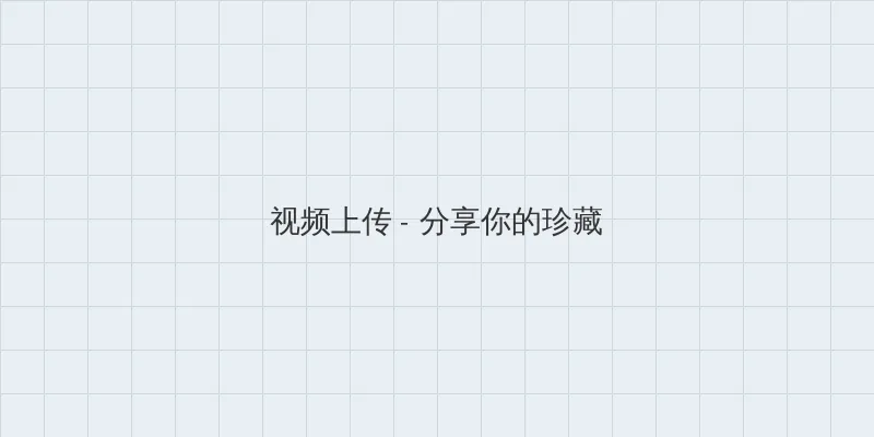 特殊案件调查处 视频上传区域